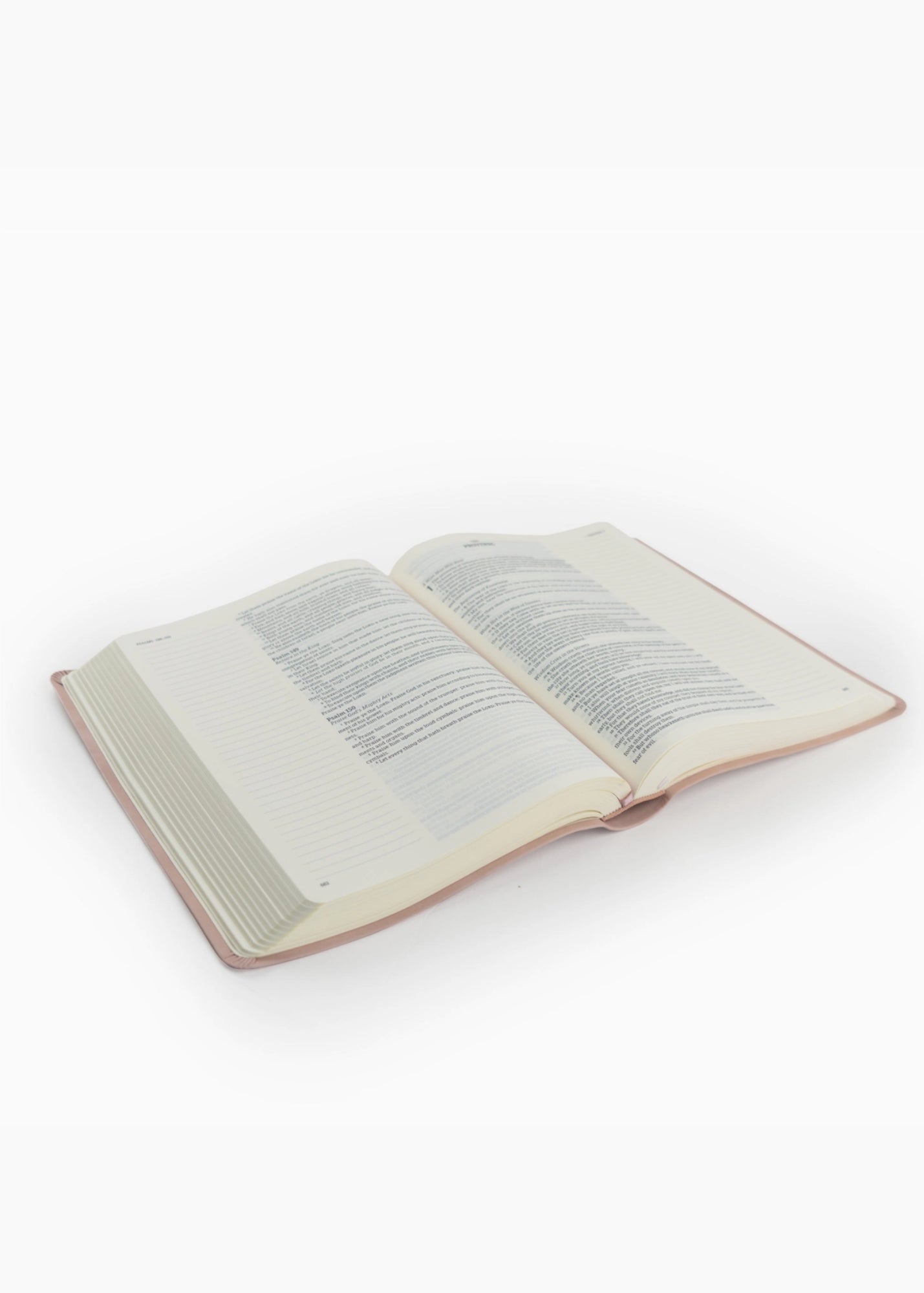 Hosanna Revival KJV Large Print Notetaking Bible Shiloh Theme