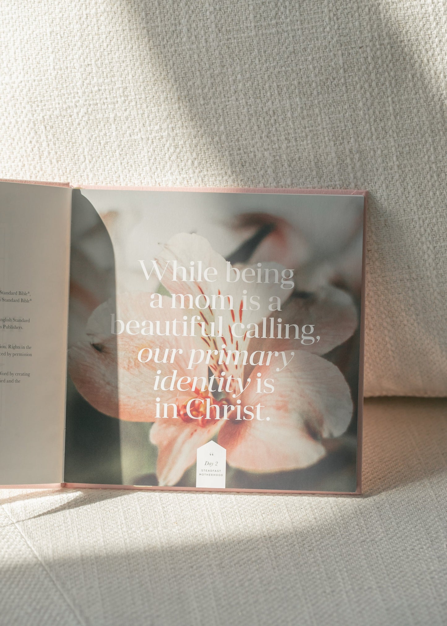 Steadfast Motherhood: 60 Day Devotional