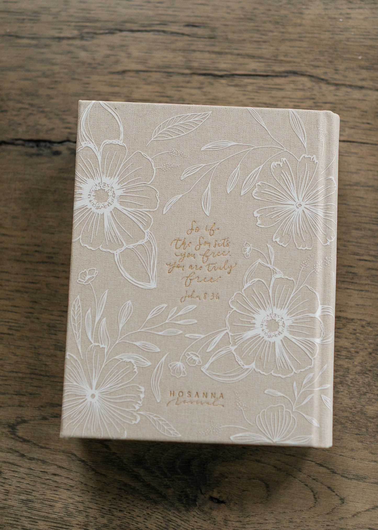 Hosanna Revival NLT Notetaking Bible Cordova Theme