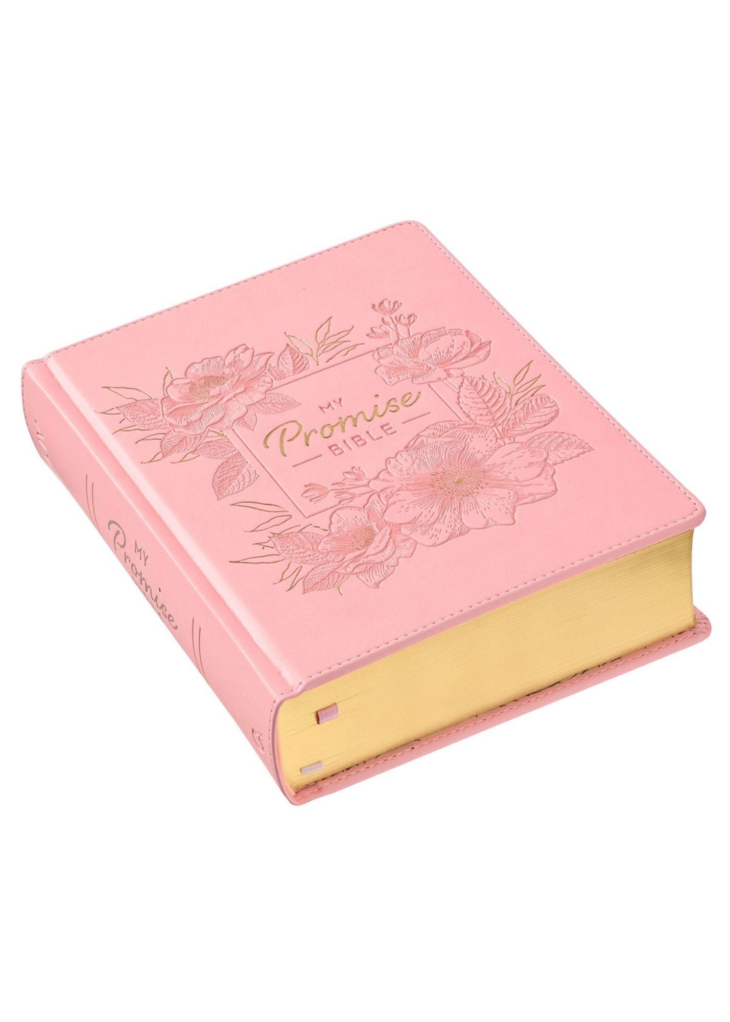My KJV Promise Bible