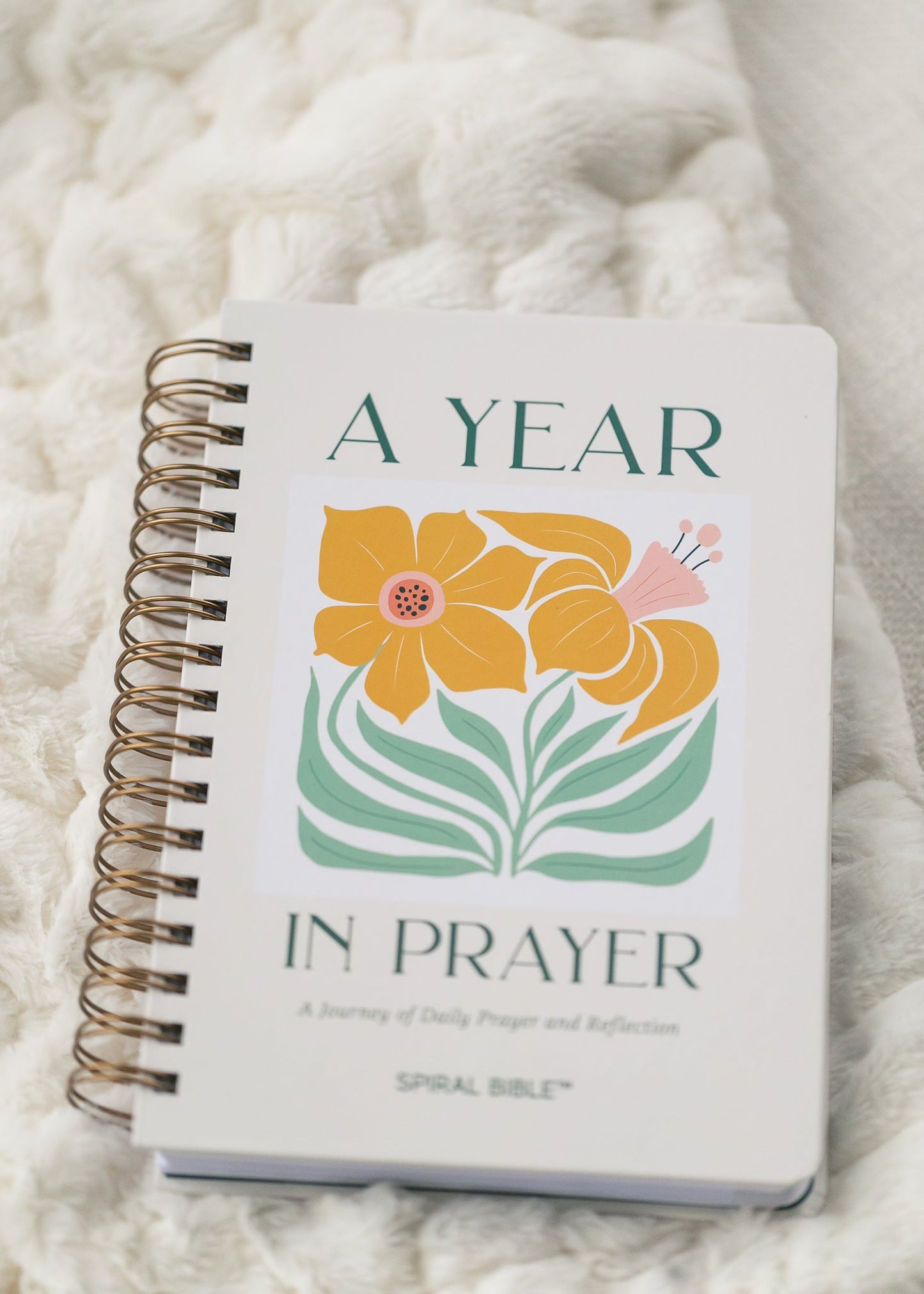 Spiral Bible™ A Year In Prayer: A Journey of Daily Prayer and Reflection