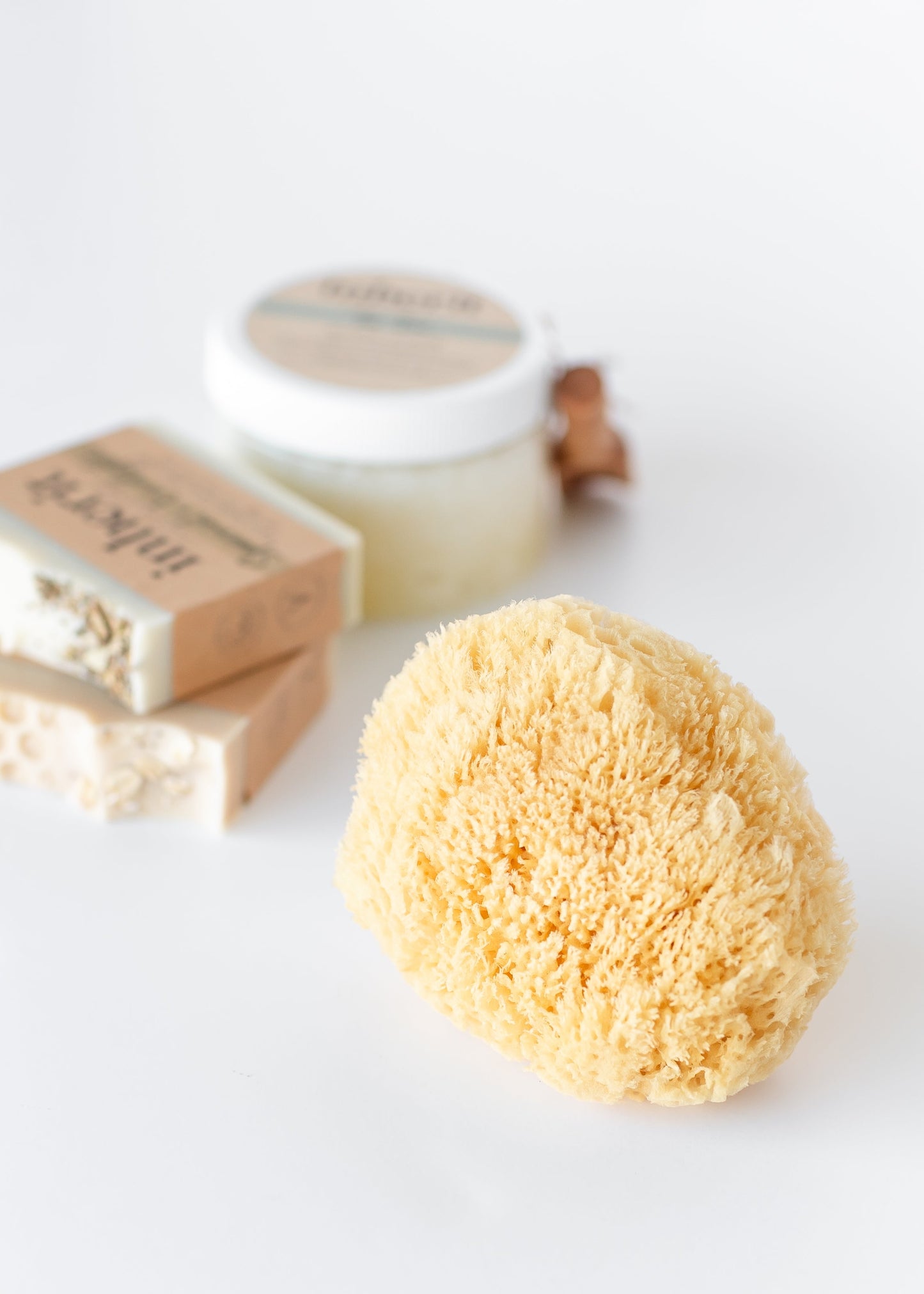 Wool Sea Sponge - FINAL SALE
