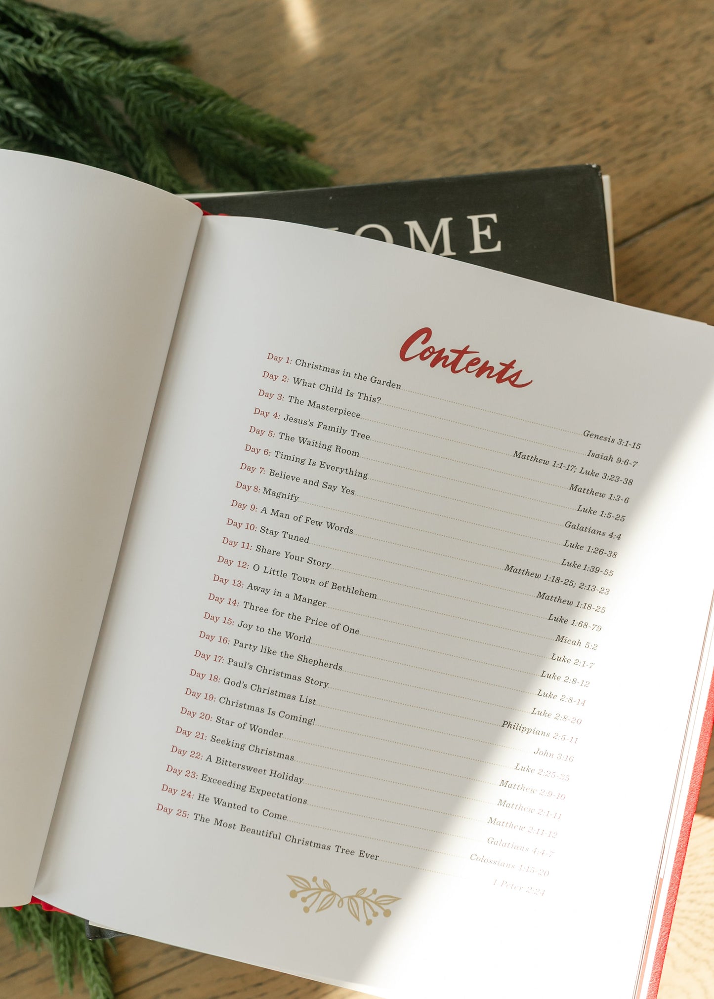 25 Days of Christmas Advent Devotional - FINAL SALE