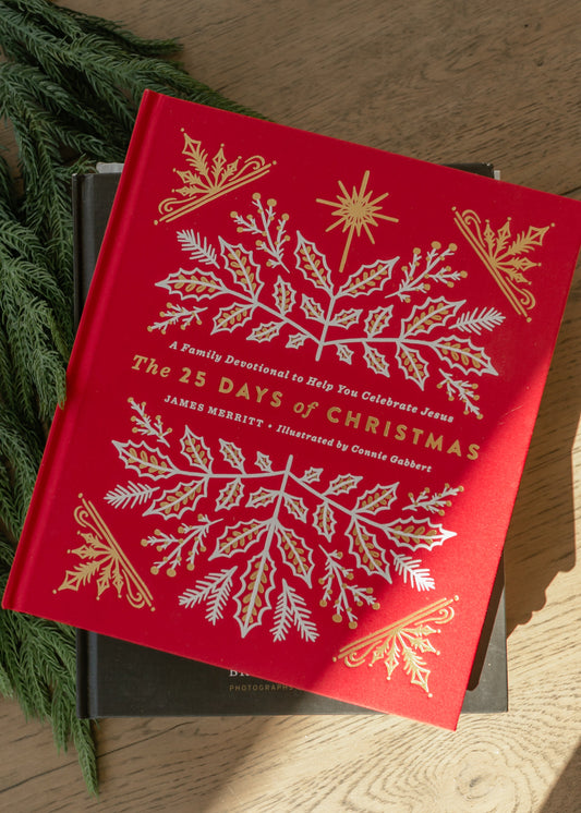 25 Days of Christmas Advent Devotional - FINAL SALE