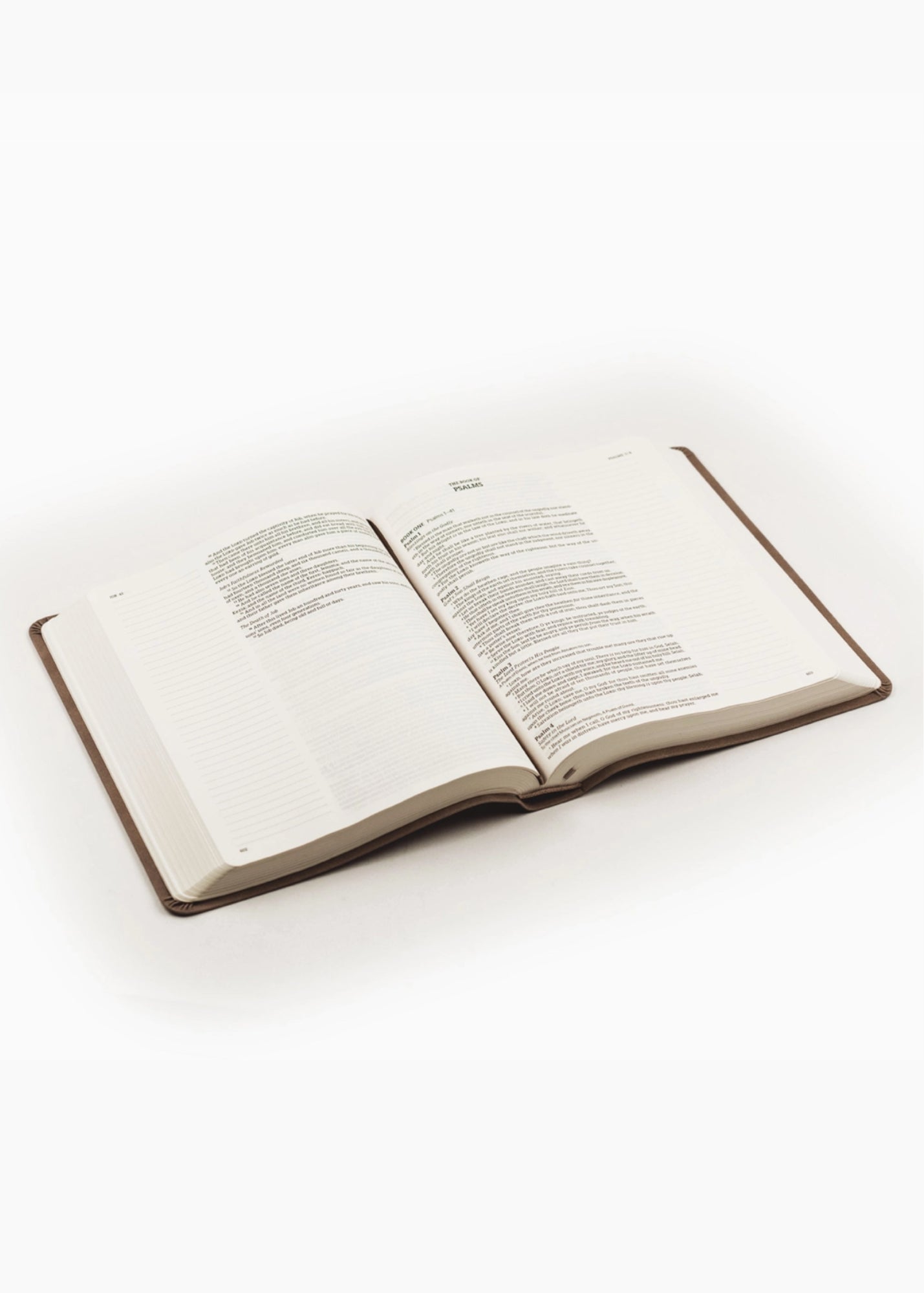 Hosanna Revival KJV Large Print Notetaking Bible Marlo Theme