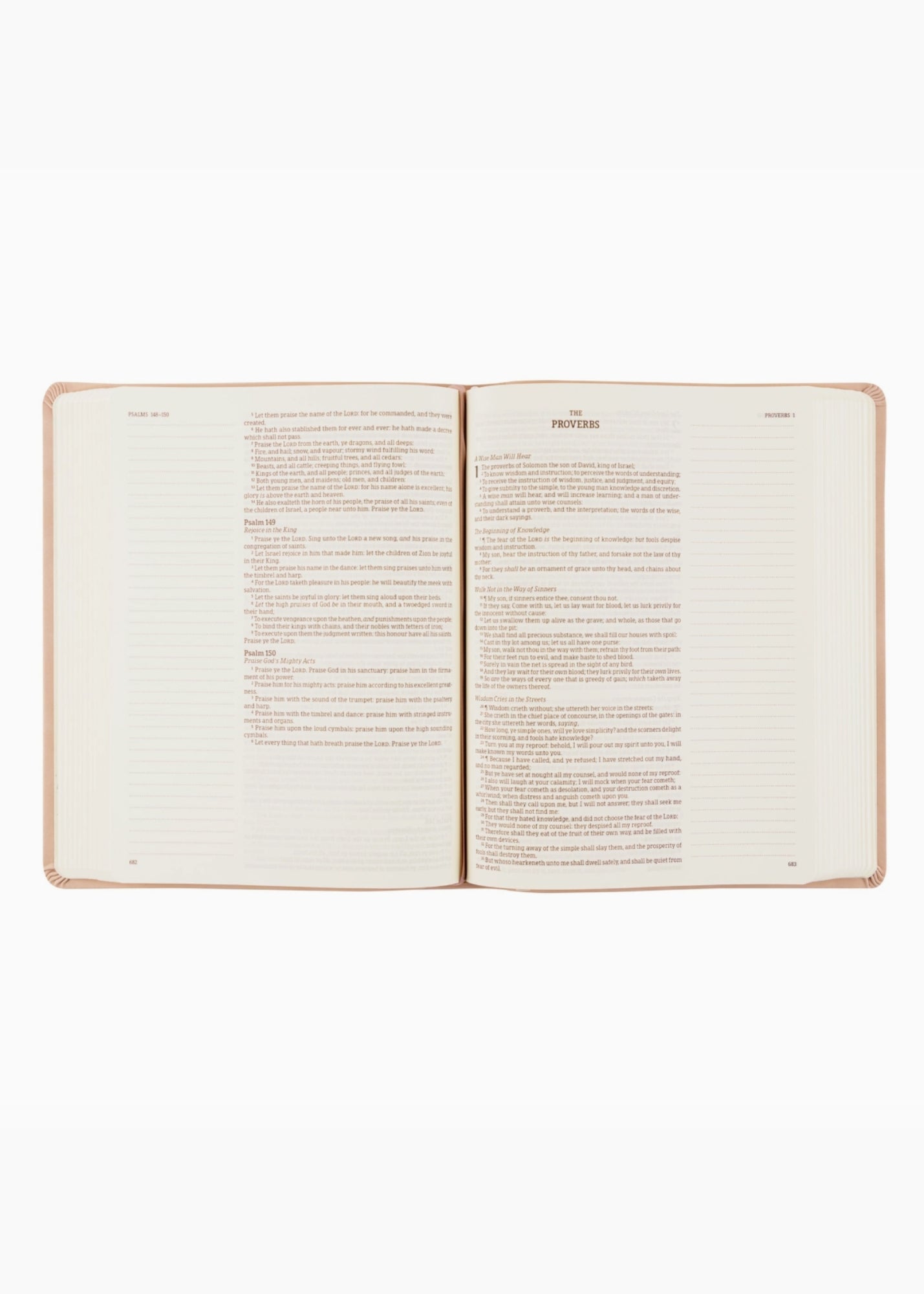 Hosanna Revival KJV Large Print Notetaking Bible Shiloh Theme