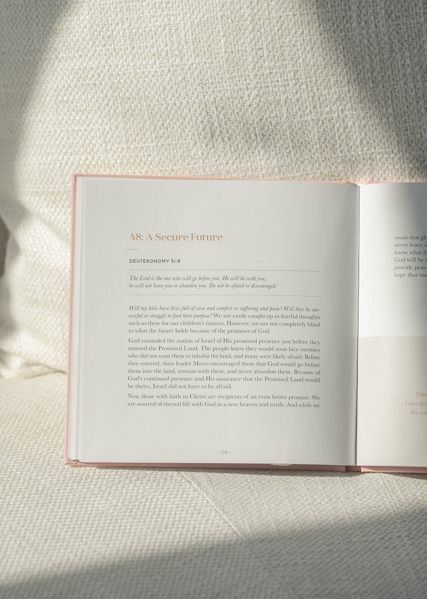 Steadfast Motherhood: 60 Day Devotional