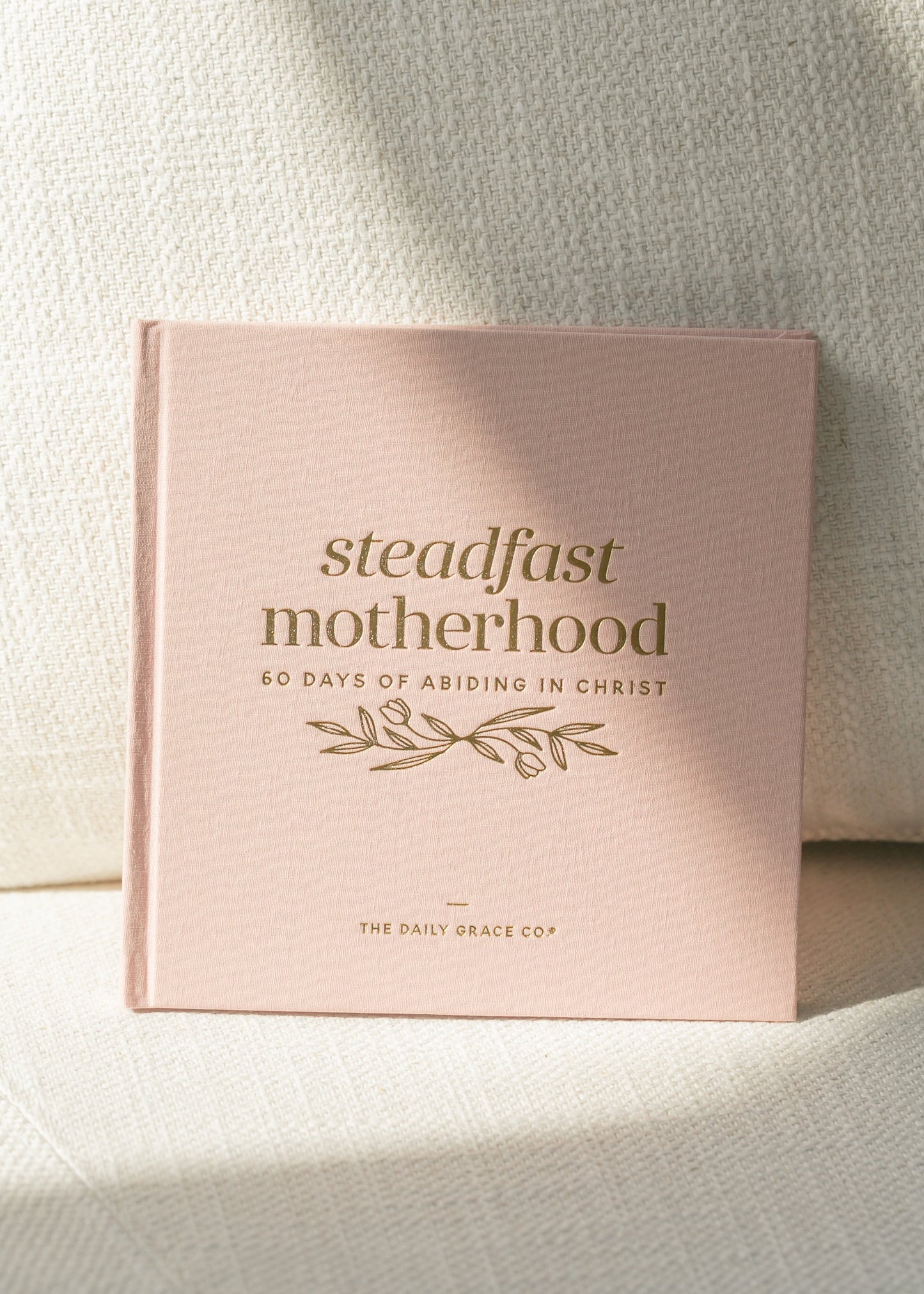 Steadfast Motherhood: 60 Day Devotional