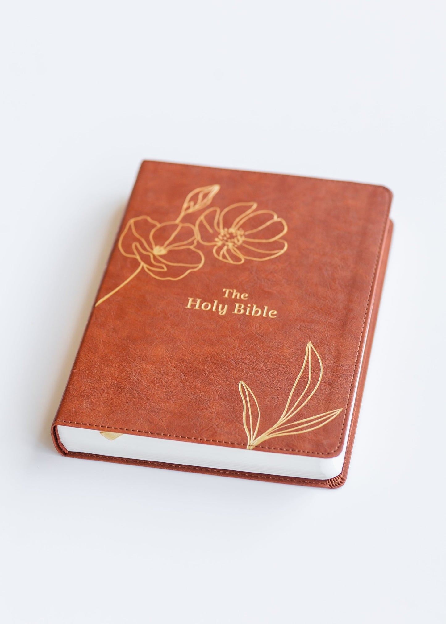Bible Promise Book KJV Bible