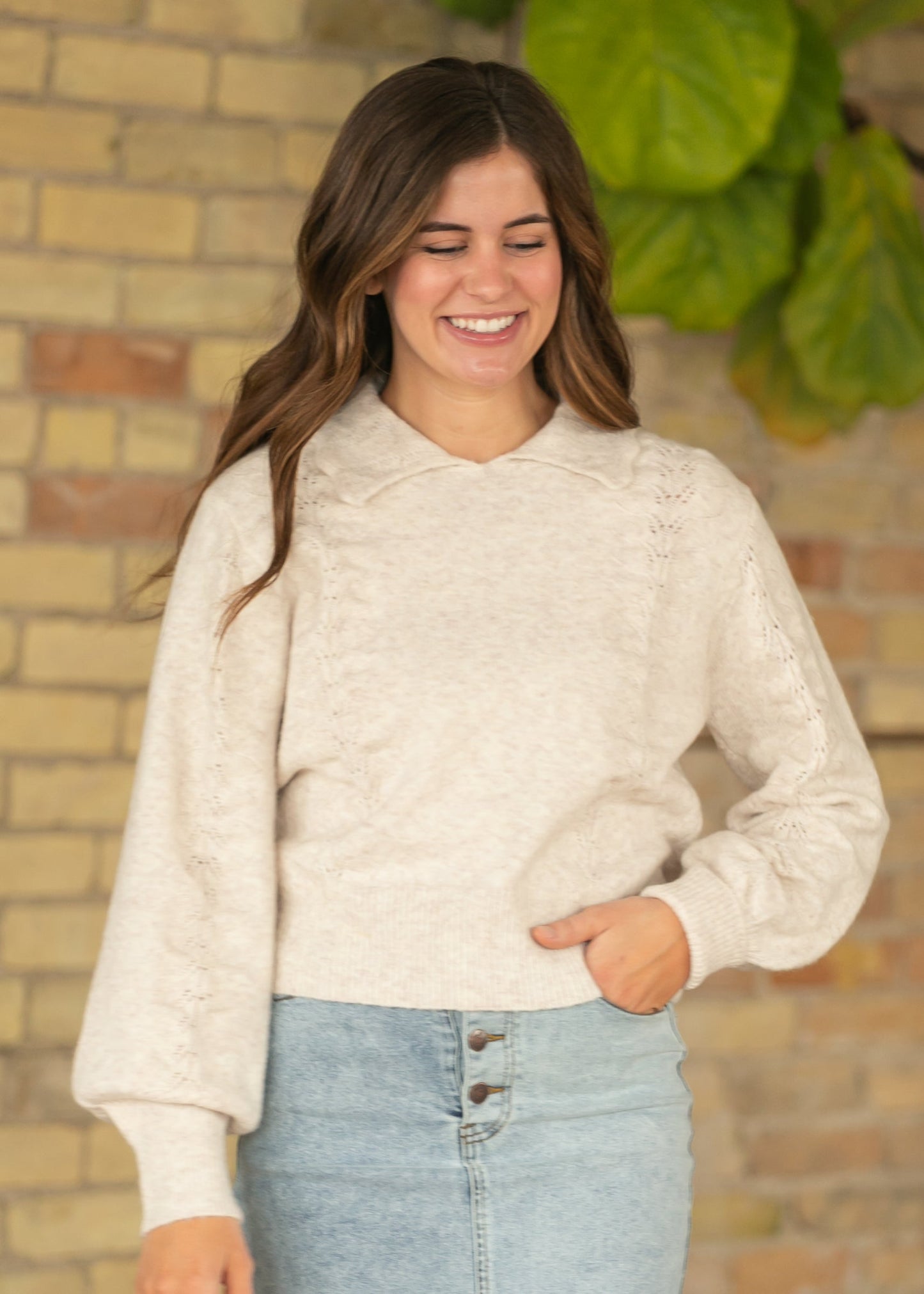 Collared Pointelle Knit Sweater