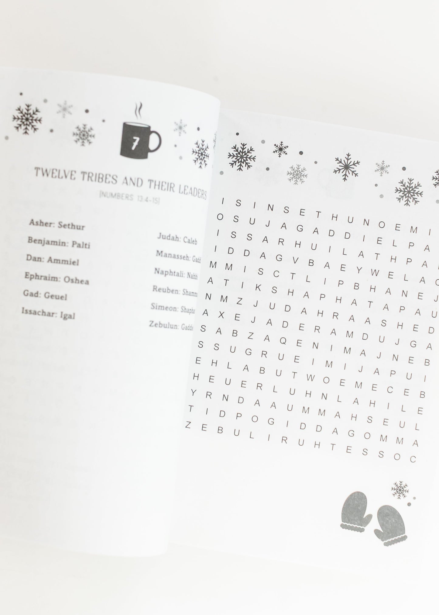Cozy Bible Word Searches