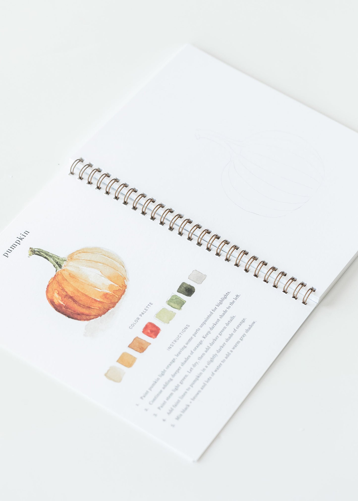 Emily Lex Studio Autumn Watercolor Workbook