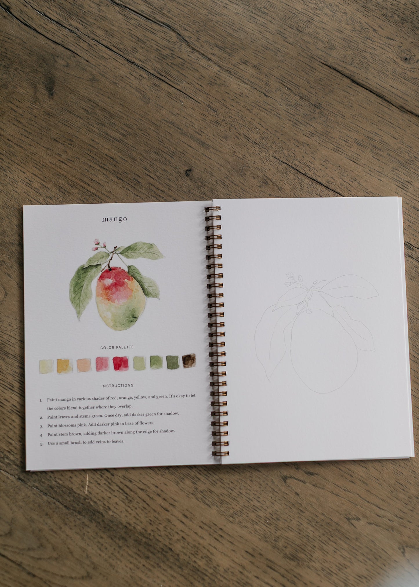 Emily Lex Studio Fruit Watercolor Workbook