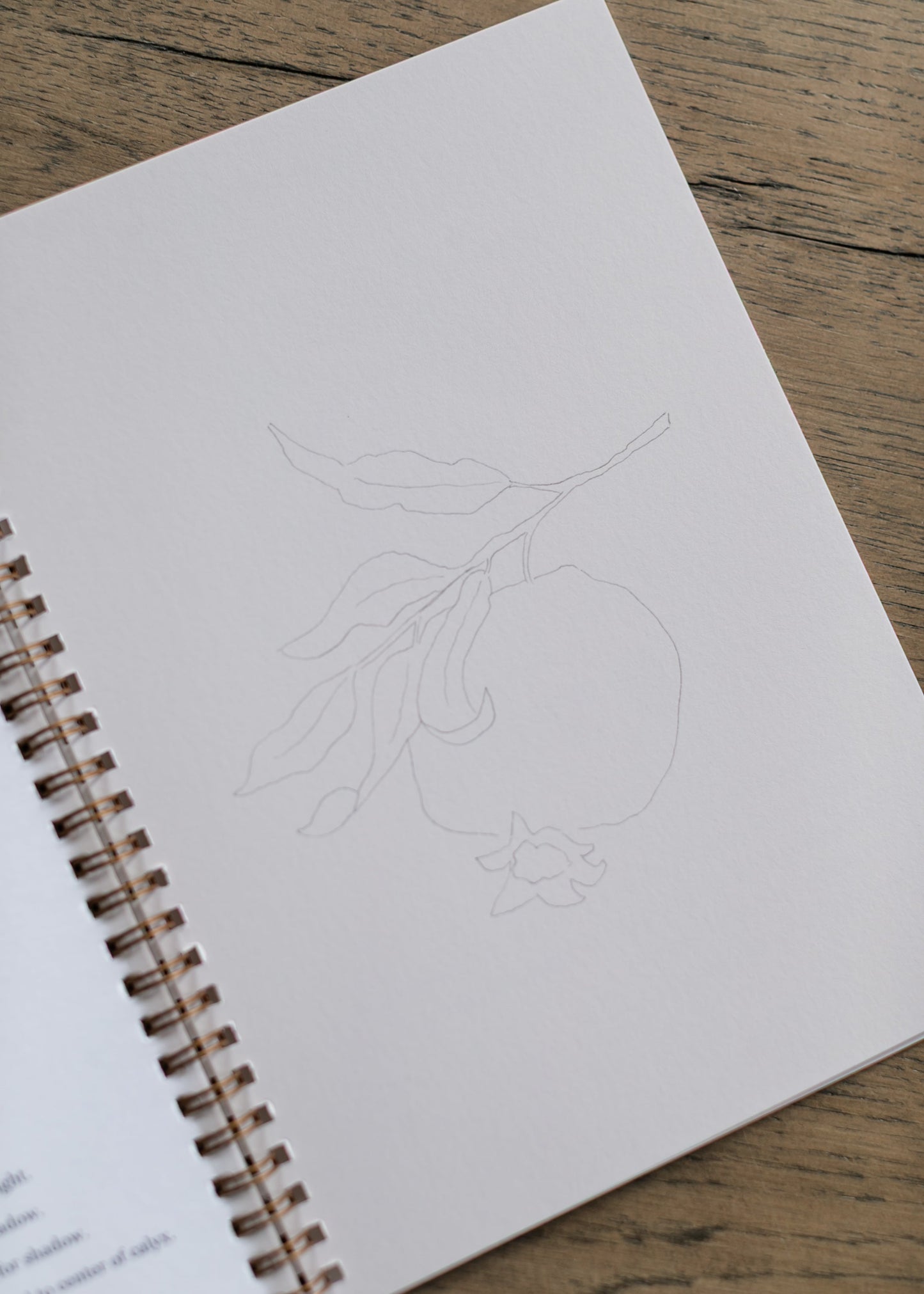 Emily Lex Studio Fruit Watercolor Workbook