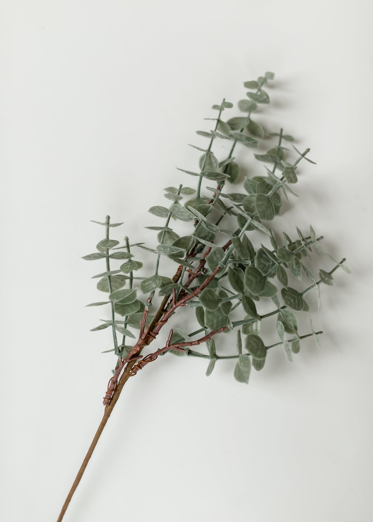 Eucalyptus Stem Light Green 18" - FINAL SALE