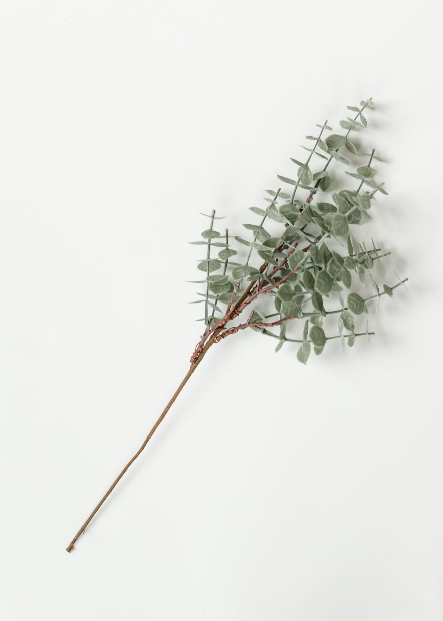 Eucalyptus Stem Light Green 18" - FINAL SALE