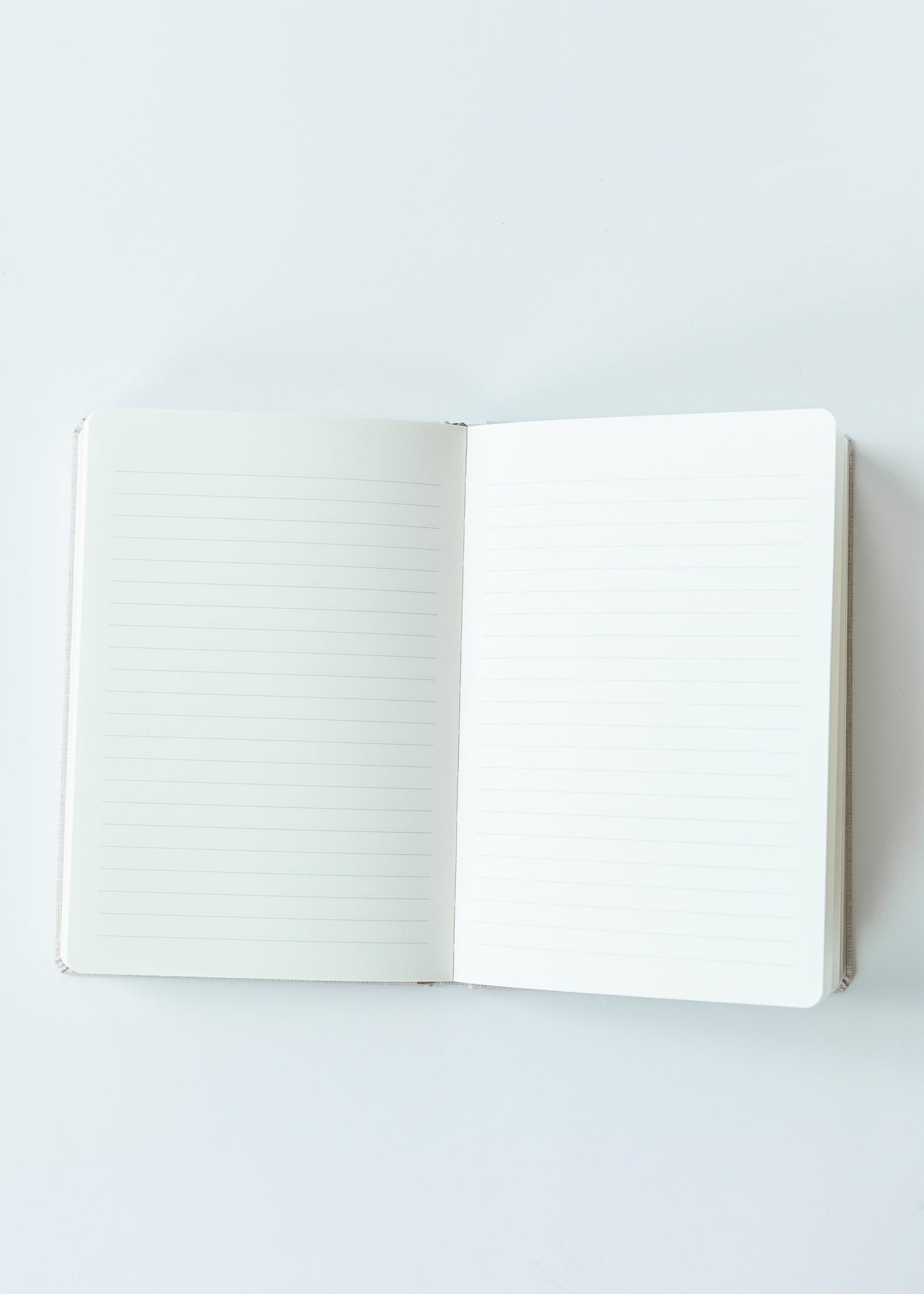 Gold Leaves Notes Journal