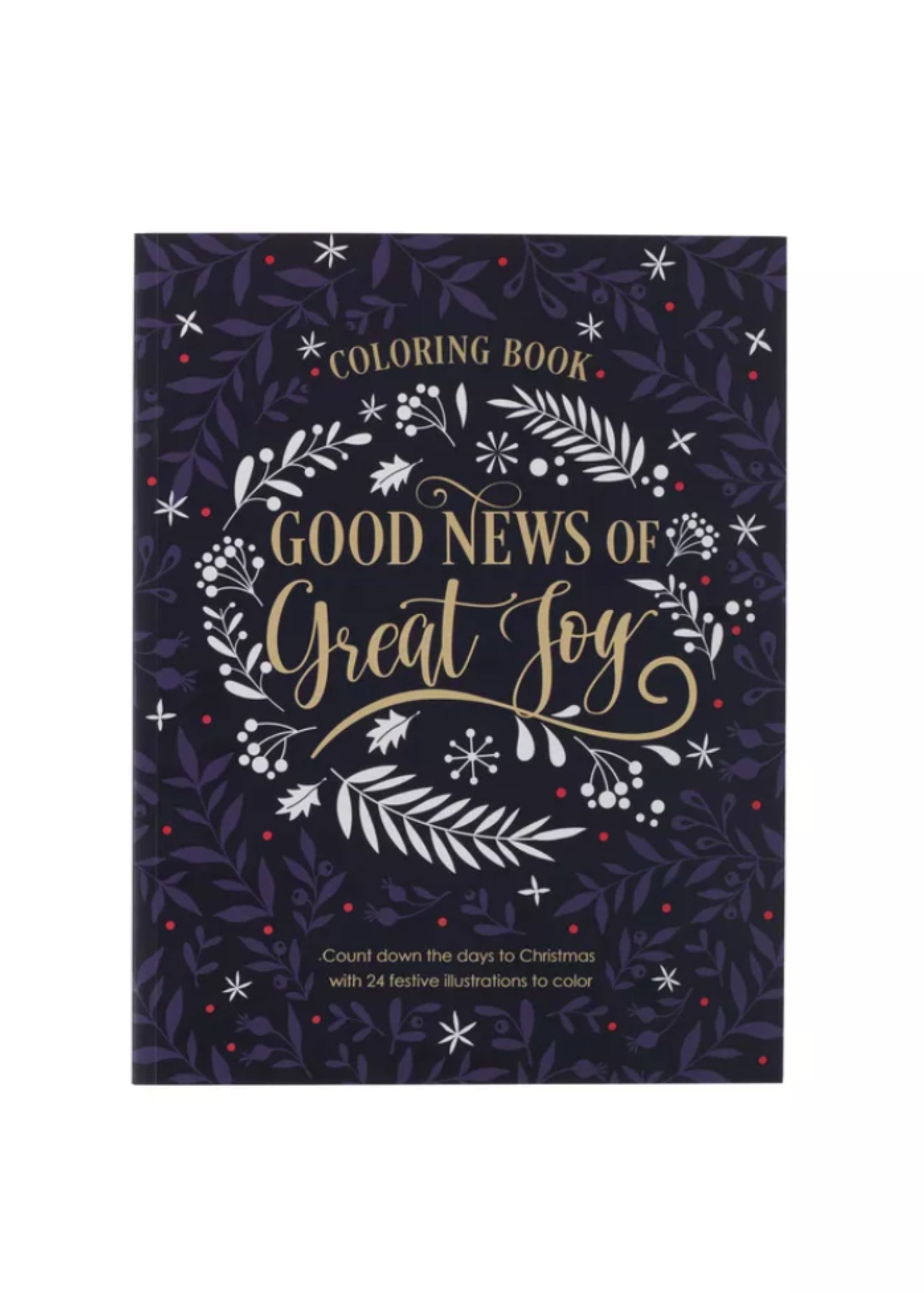 Good News of Great Joy Coloring Book - FINAL SALE