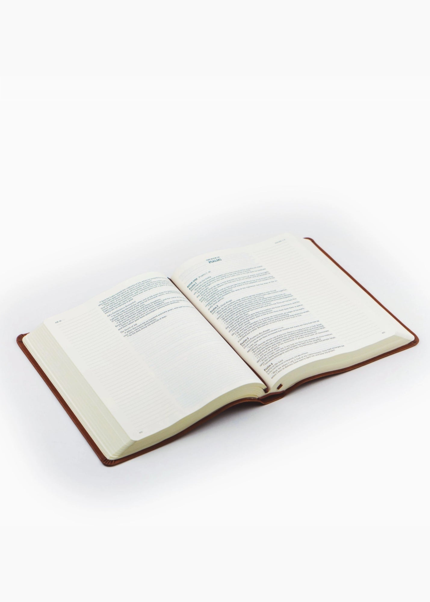 Hosanna Revival KJV Large Print Notetaking Bible Vienna Theme