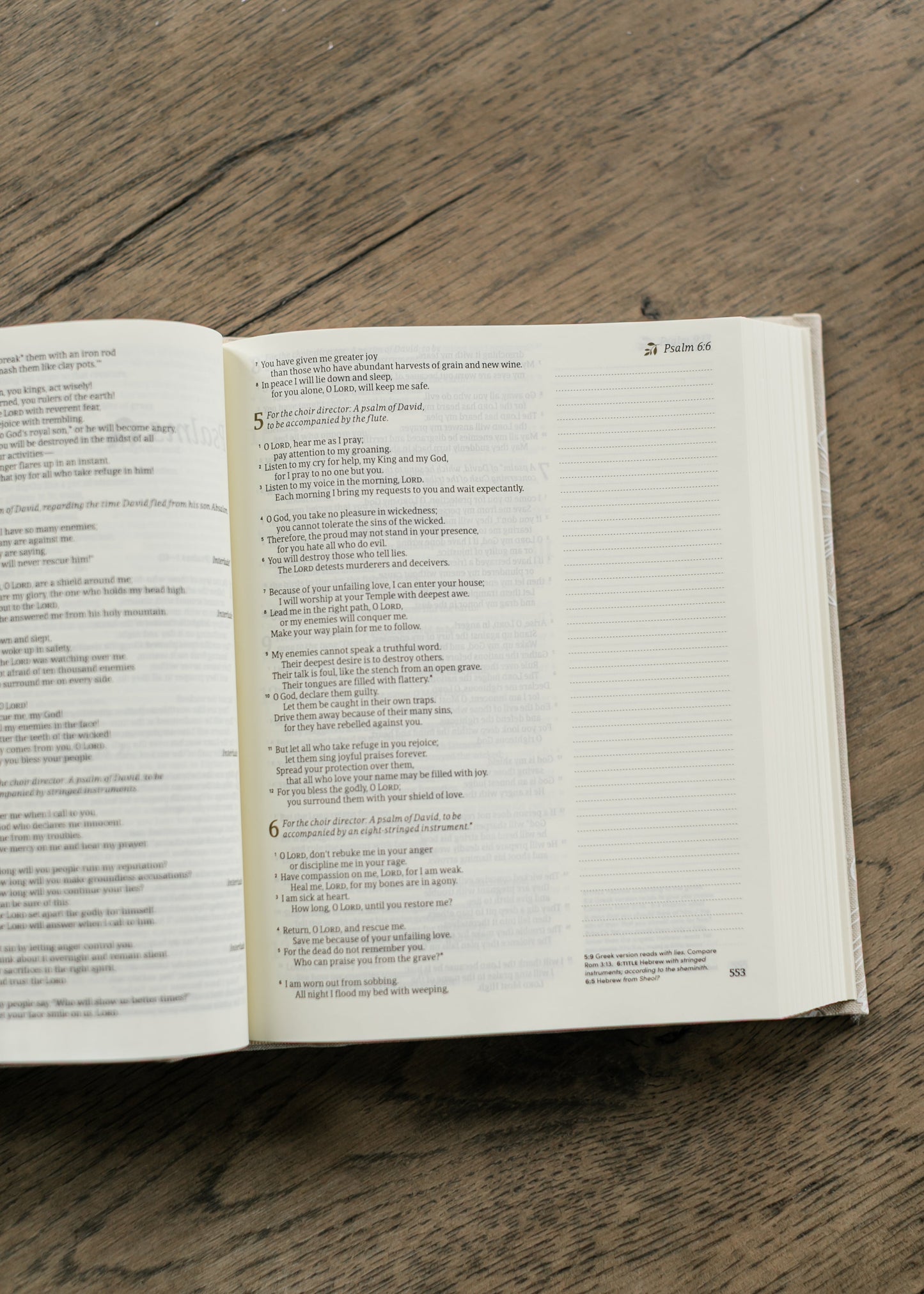 Hosanna Revival NLT Notetaking Bible Cordova Theme