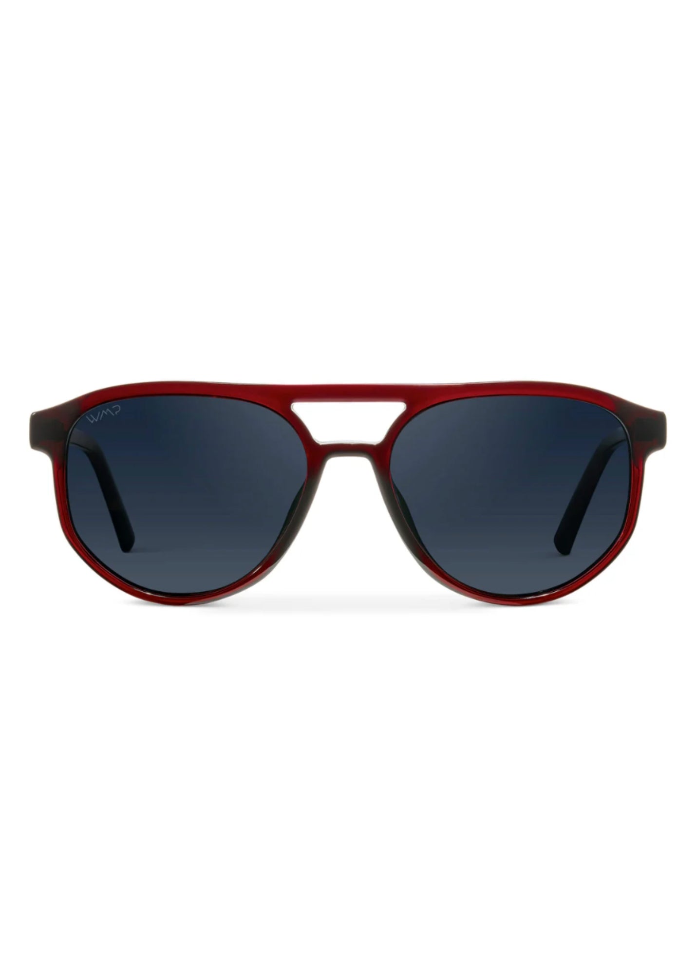 Hudson Aviator Polarized Sunglasses