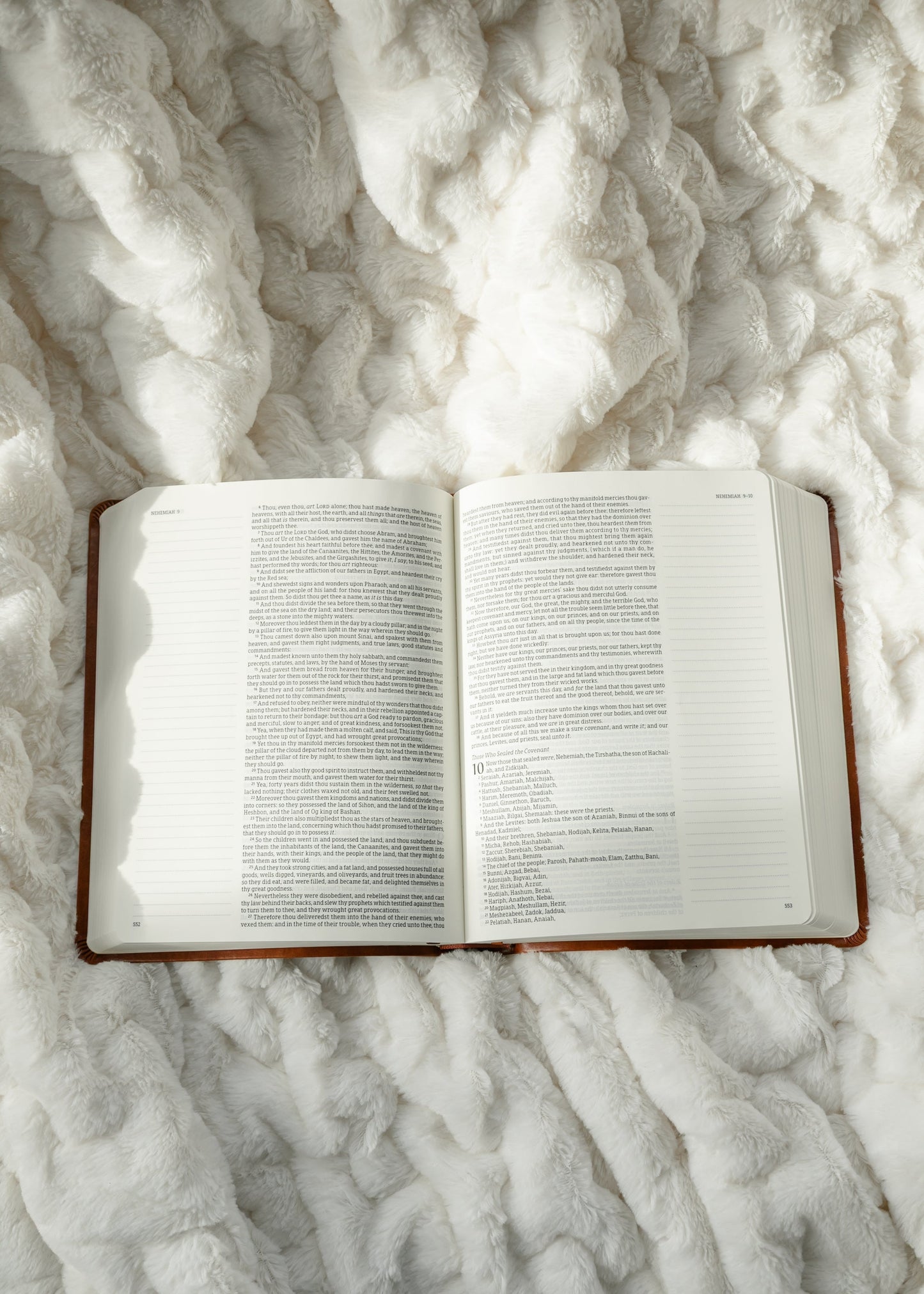 Hosanna Revival KJV Large Print Notetaking Bible Vienna Theme
