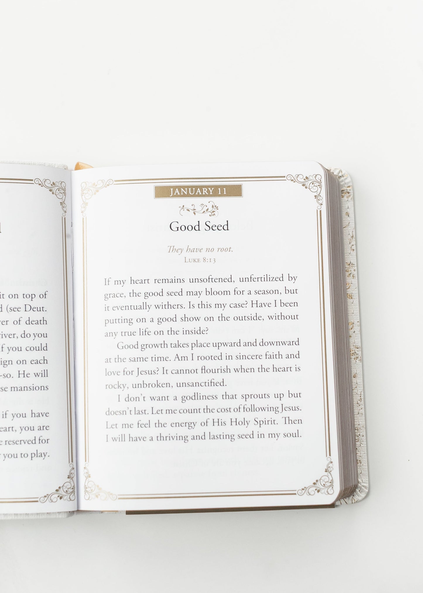 Morning by Morning One-Minute Devotions