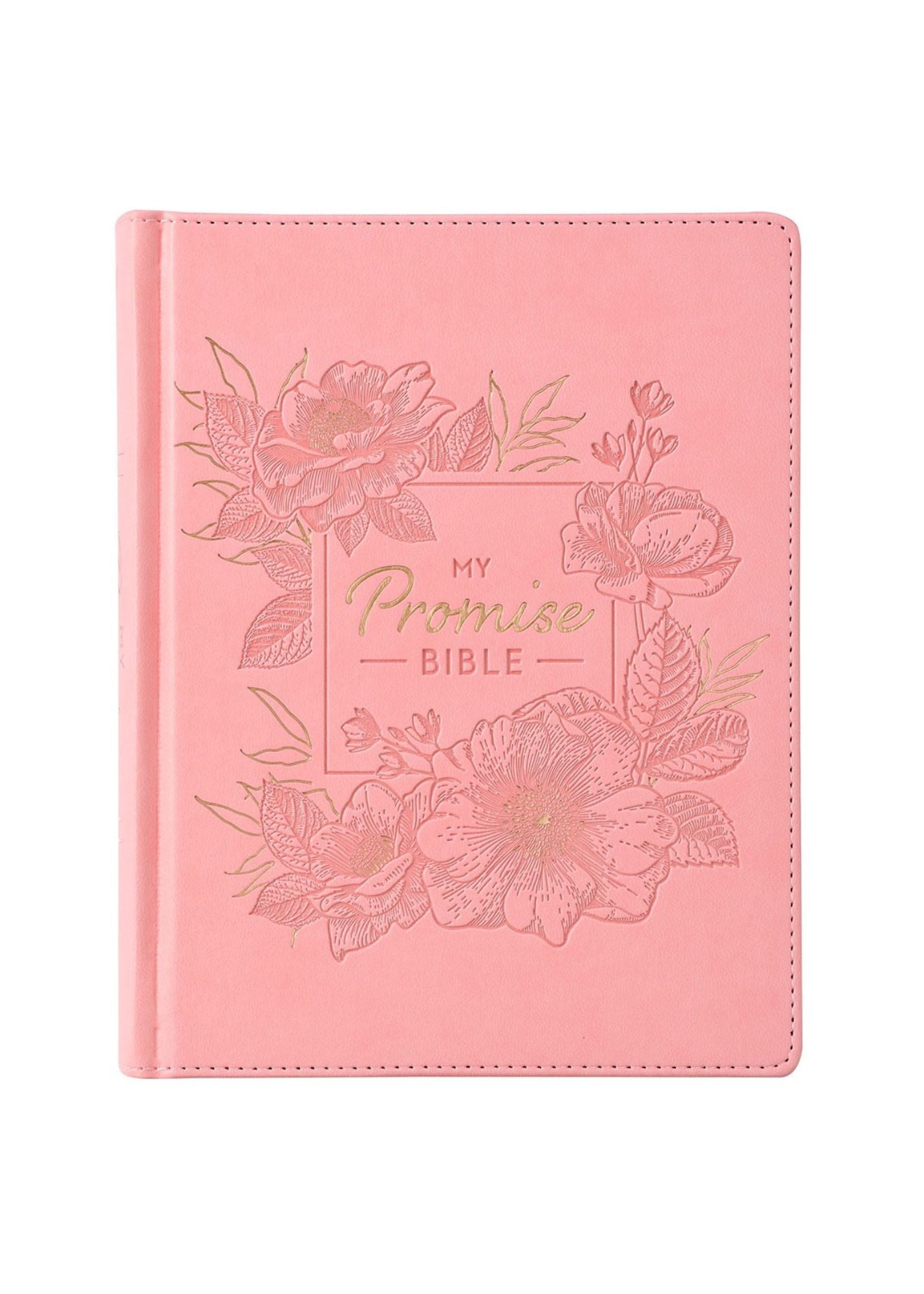 My KJV Promise Bible