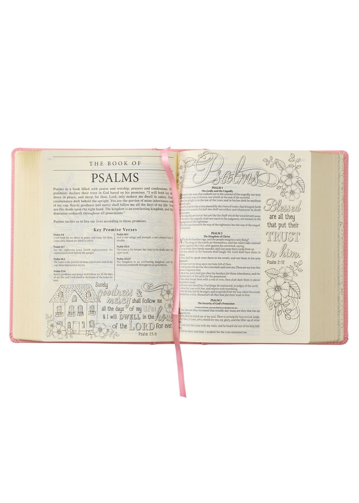 My KJV Promise Bible