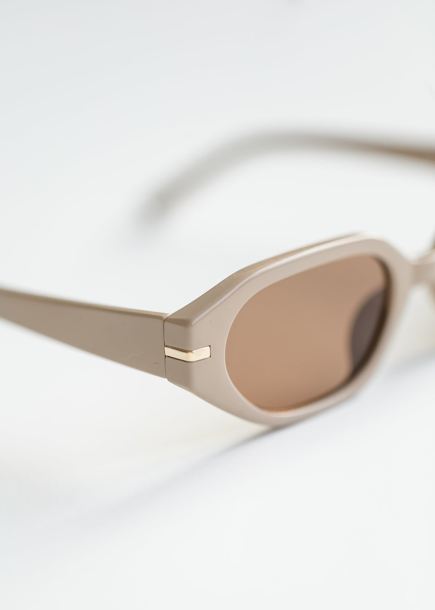 Oval Angled Acetate Sunglasses - FINAL SALE