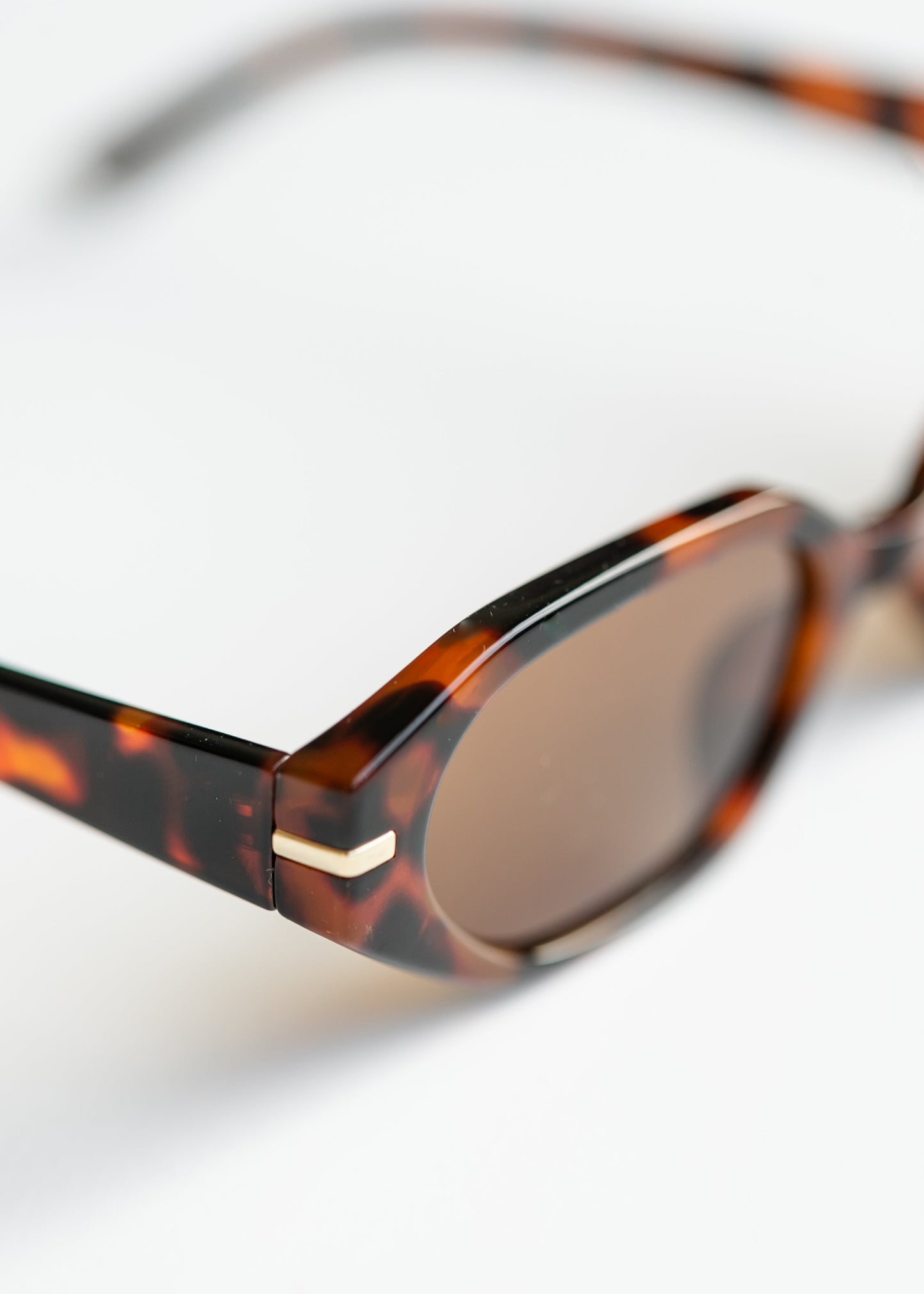 Oval Angled Acetate Sunglasses - FINAL SALE