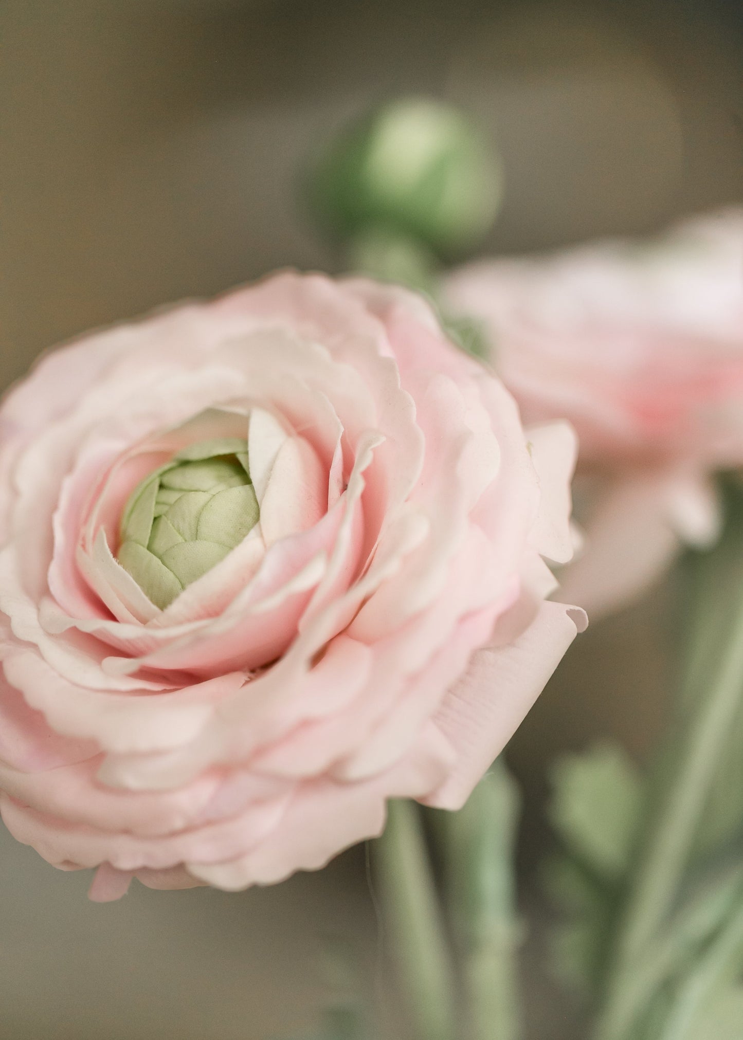 Real Touch Ranunculus Floral Stem - FINAL SALE