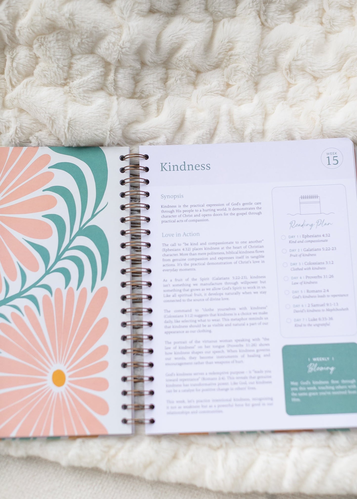 Spiral Bible™ The Bible In A Year: A 52-Week Study