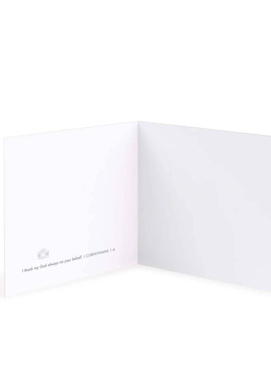Thank You Greeting Cards - FINAL SALE