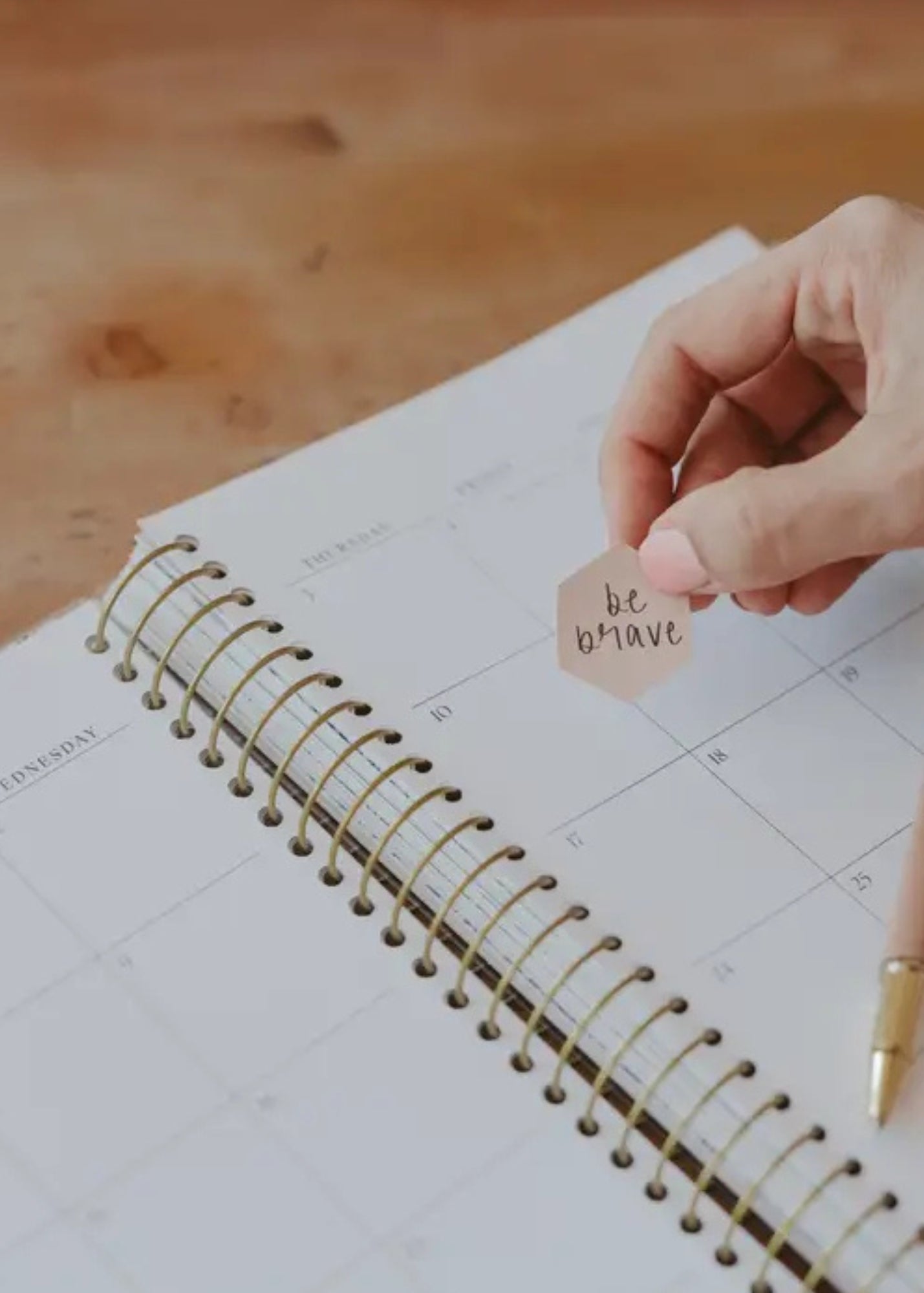 You Have A Purpose 2025-2026 18 Month Planner