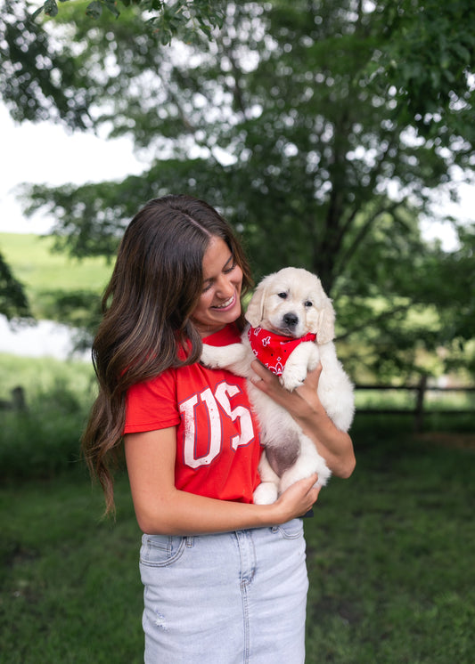 Z Supply® USA Boyfriend Tee
